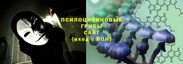соль ск Кулебаки