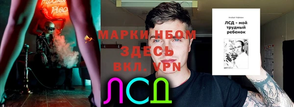 соль ск Кулебаки
