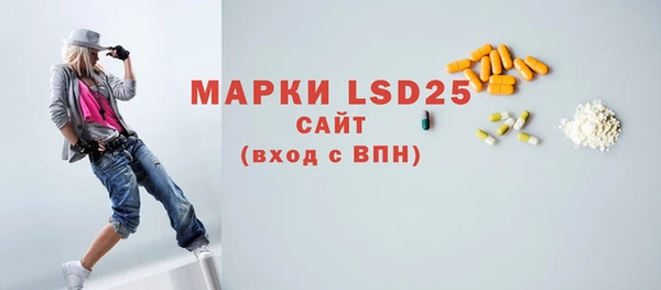 соль ск Кулебаки