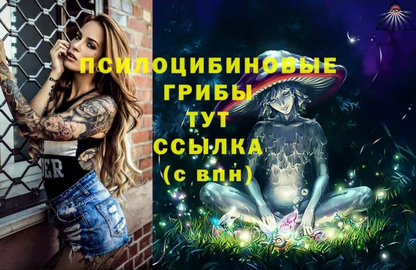 прущие крисы Лабытнанги